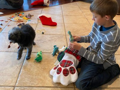 WhatsApp Image 2026-03-07 at 6.55.57 PM.jpeg