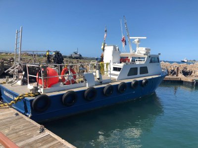 WhatsApp Image 2026-02-24 at 10.11.52 AM (13).jpeg