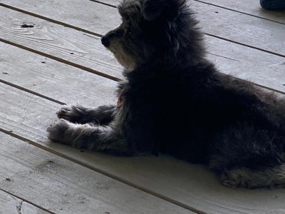 WhatsApp Image 2026-03-07 at 6.53.55 PM.jpeg