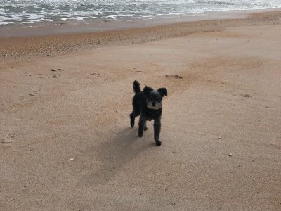 WhatsApp Image 2026-03-07 at 6.26.07 PM.jpeg