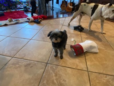 WhatsApp Image 2026-03-07 at 6.56.07 PM.jpeg