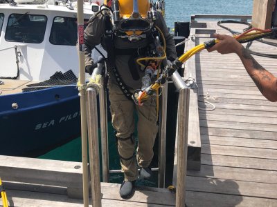 WhatsApp Image 2026-03-07 at 6.45.03 PM.jpeg