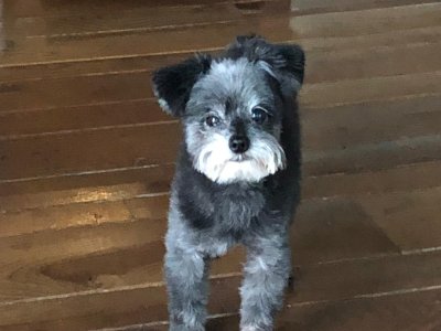 WhatsApp Image 2026-03-07 at 6.25.31 PM.jpeg