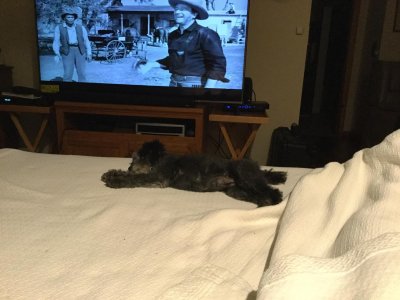 WhatsApp Image 2026-03-07 at 6.24.00 PM.jpeg