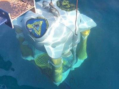 WhatsApp Image 2026-02-24 at 9.26.29 AM.jpeg