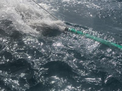 WhatsApp Image 2026-02-24 at 10.16.22 AM.jpeg