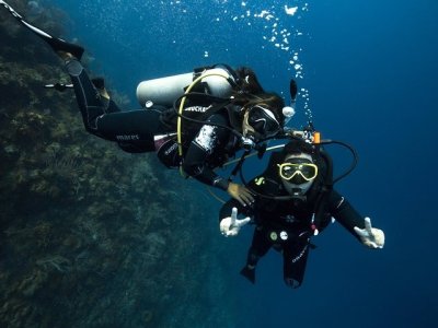 WhatsApp Image 2026-02-28 at 11.40.51 AM.jpeg