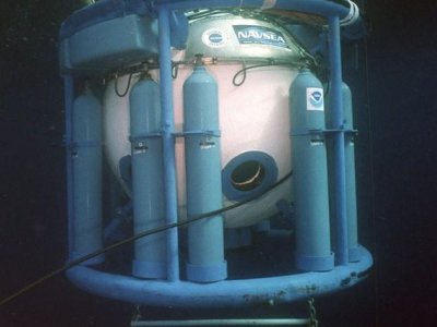 WhatsApp Image 2026-02-24 at 11.22.41 AM.jpeg