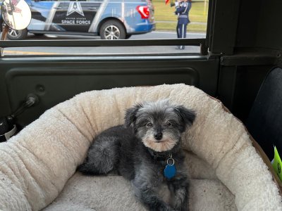 WhatsApp Image 2026-03-07 at 6.59.27 PM.jpeg