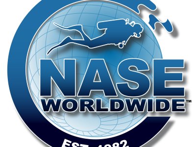NASE Color Logo large.jpg
