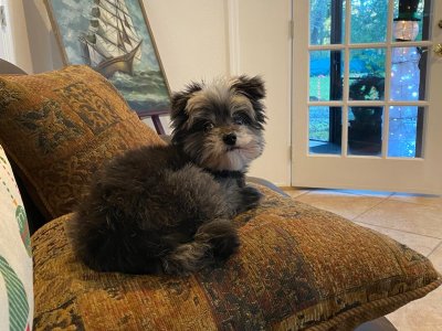 WhatsApp Image 2026-03-07 at 6.55.21 PM.jpeg