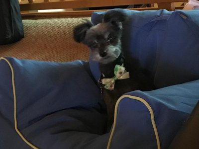 WhatsApp Image 2026-03-07 at 6.24.42 PM.jpeg