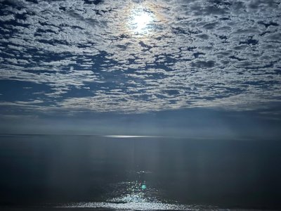 WhatsApp Image 2026-03-08 at 3.43.32 PM.jpeg