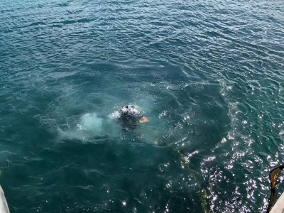 WhatsApp Image 2026-03-07 at 6.37.22 PM.jpeg