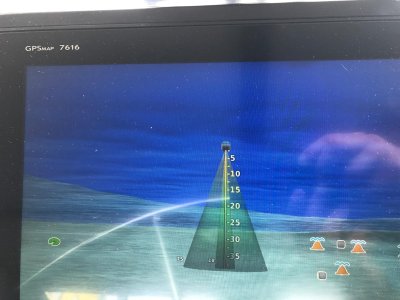 WhatsApp Image 2026-02-24 at 10.05.24 AM (4).jpeg