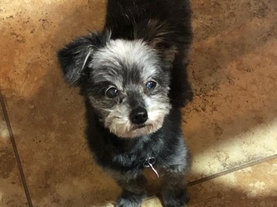 WhatsApp Image 2026-03-07 at 6.54.32 PM.jpeg